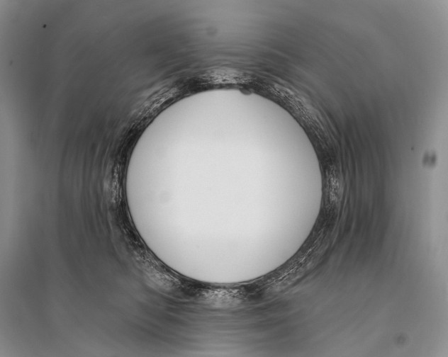 X0000094920422200712201224