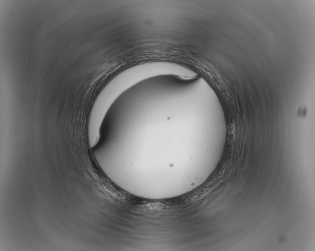 X0000094920423200712201224
