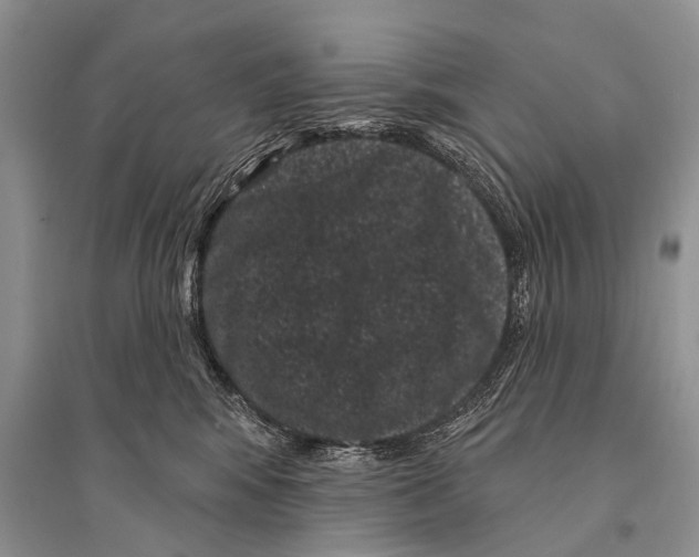 X0000094920424200712201224