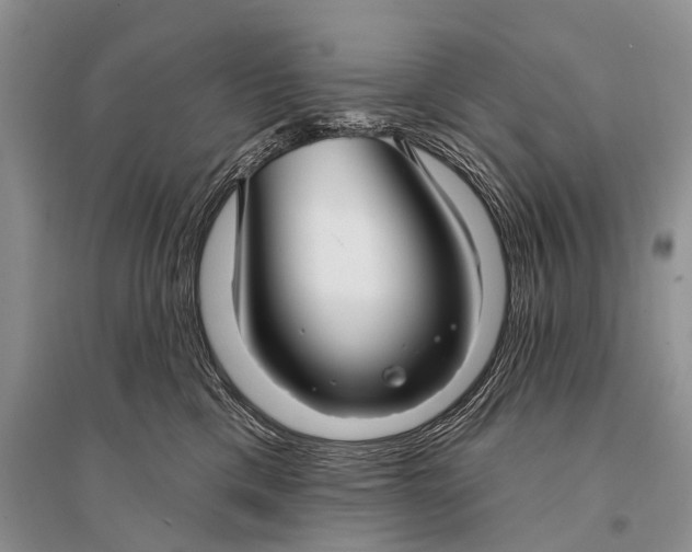 X0000094920425200712201224