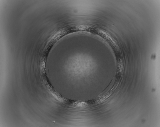 X0000094920427200712201224