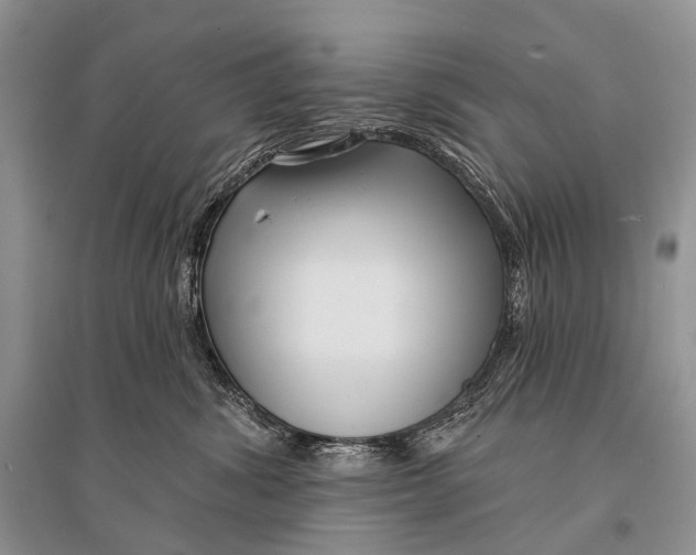 X0000094920428200712201224