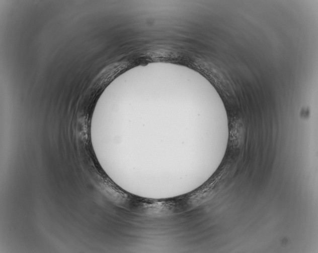 X0000094920430200712201224