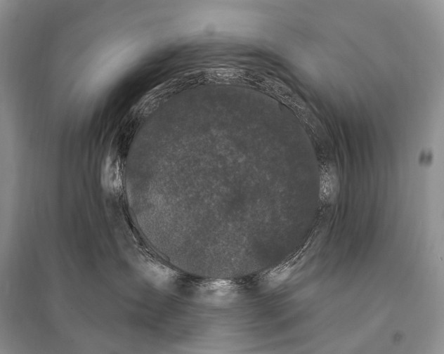 X0000094920431200712201224