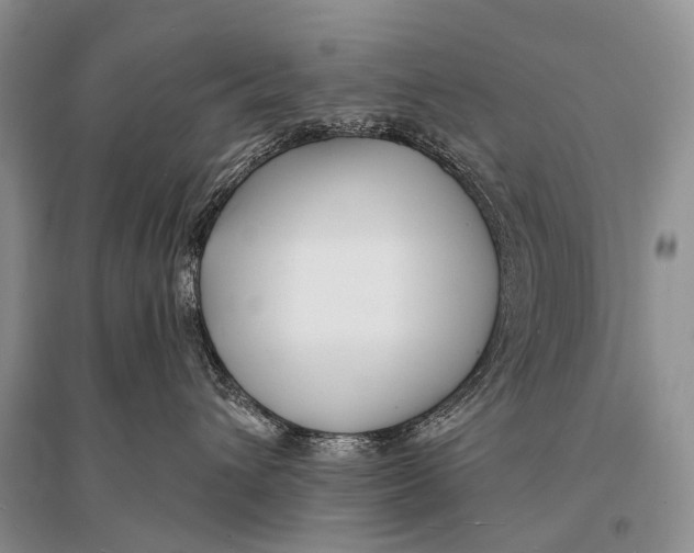 X0000094920432200712201224