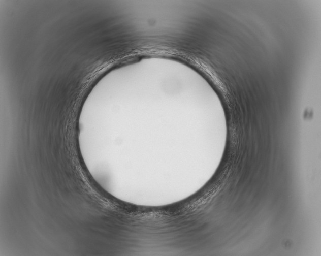 X0000094920433200712201223