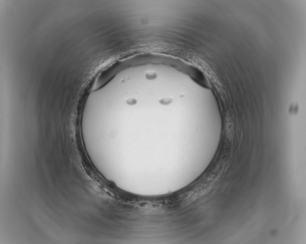 X0000094920434200712201223