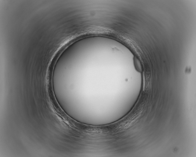 X0000094920435200712201223