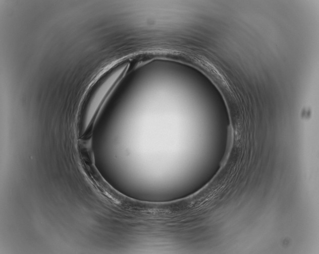 X0000094920436200712201223