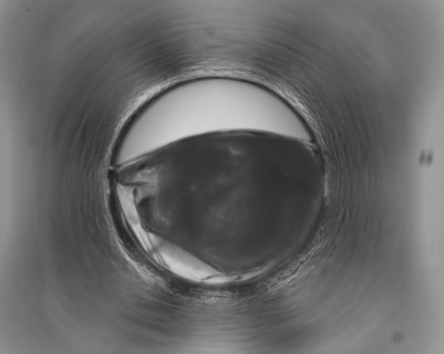 X0000094920438200712201223