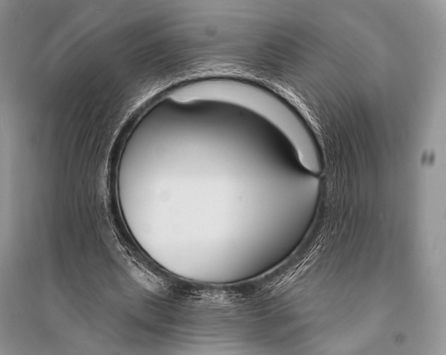 X0000094920439200712201223
