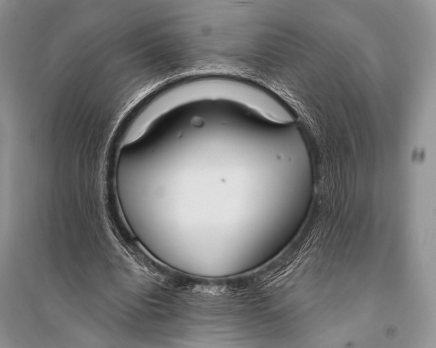 X0000094920440200712201223