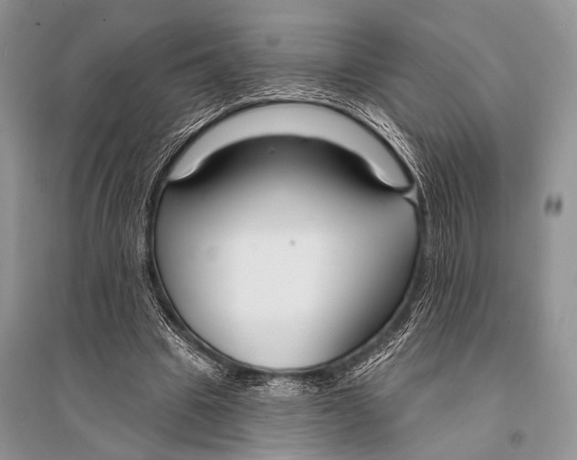 X0000094920441200712201223