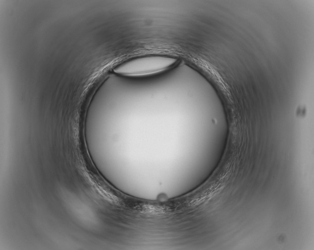 X0000094920442200712201223