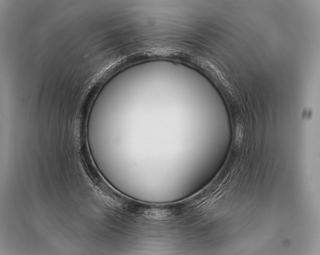 X0000094920444200712201223
