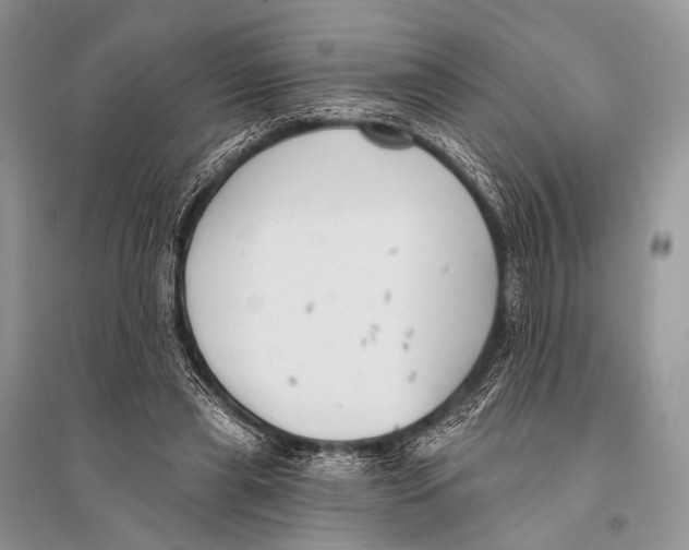 X0000094920445200712201223