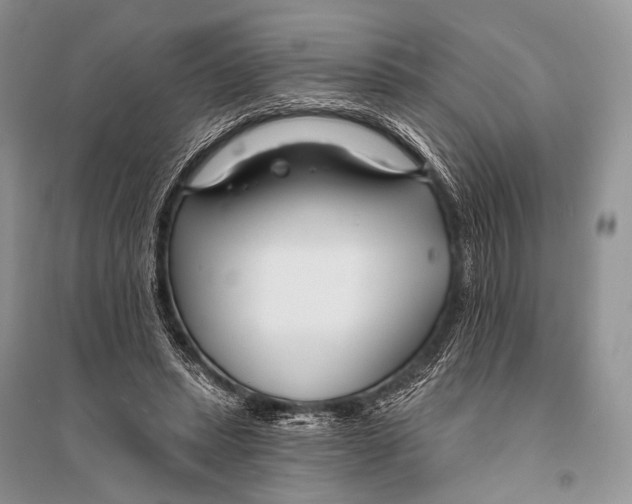 X0000094920447200712201223