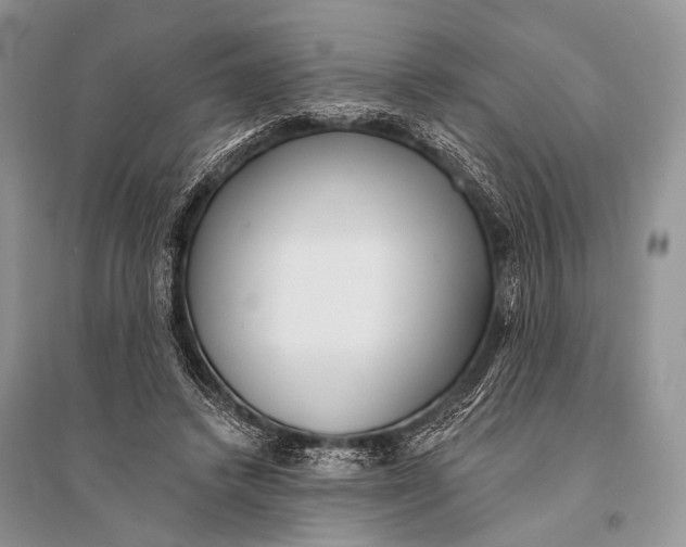 X0000094920448200712201223
