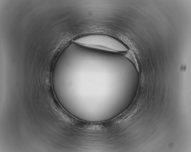 X0000094920449200712201223