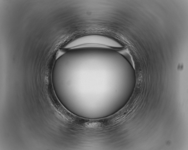X0000094920452200712201223
