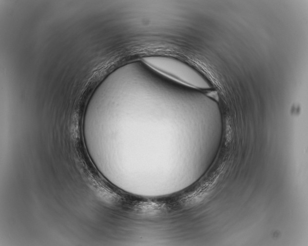 X0000094920453200712201223