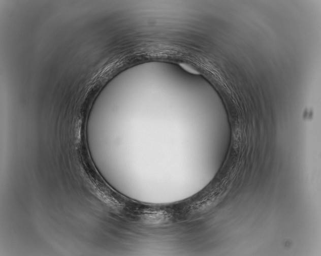 X0000094920454200712201223