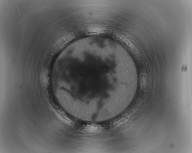 X0000094920455200712201223