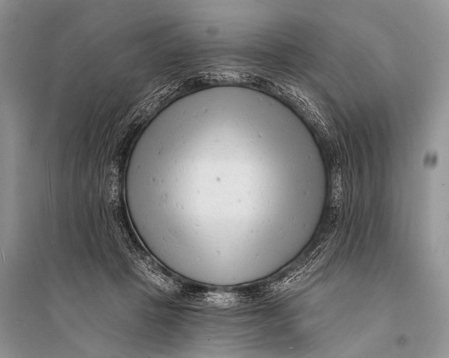 X0000094920457200712201223