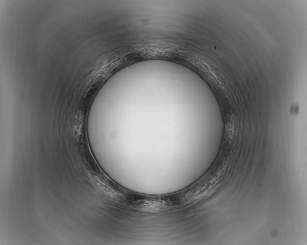 X0000094920458200712201223