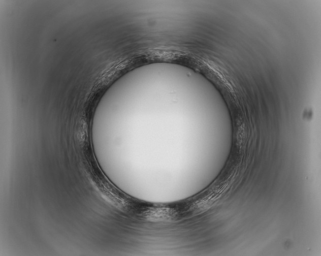 X0000094920459200712201223