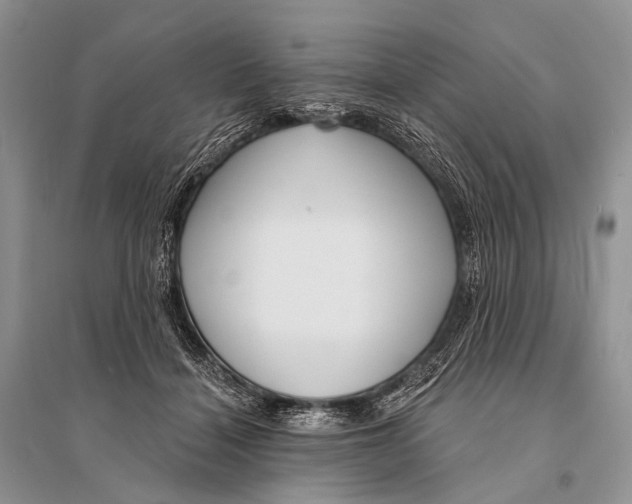 X0000094920460200712201223