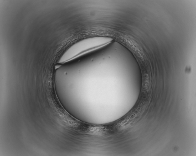 X0000094920461200712201223