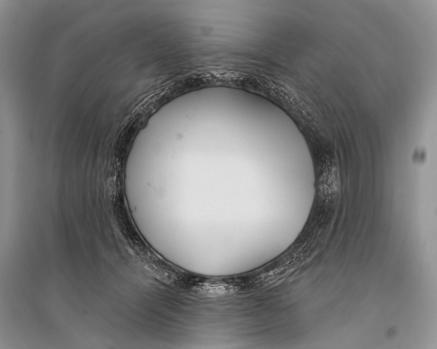 X0000094920464200712201224