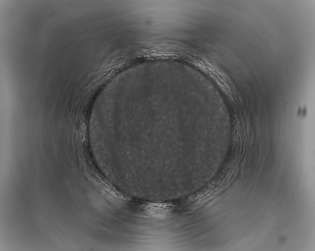 X0000094920465200712201224