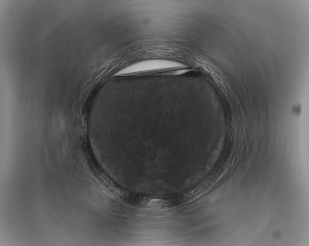 X0000094920467200712201224
