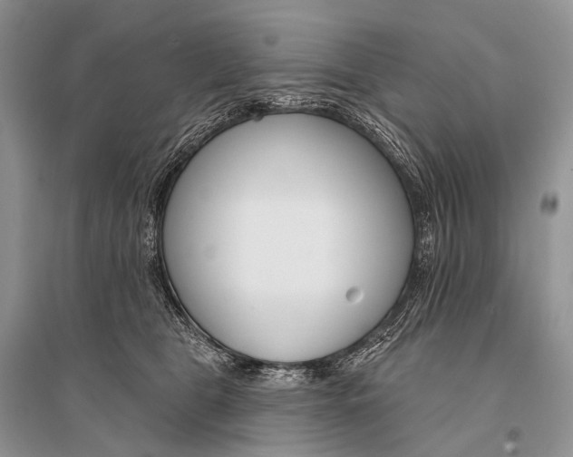 X0000094920469200712201224