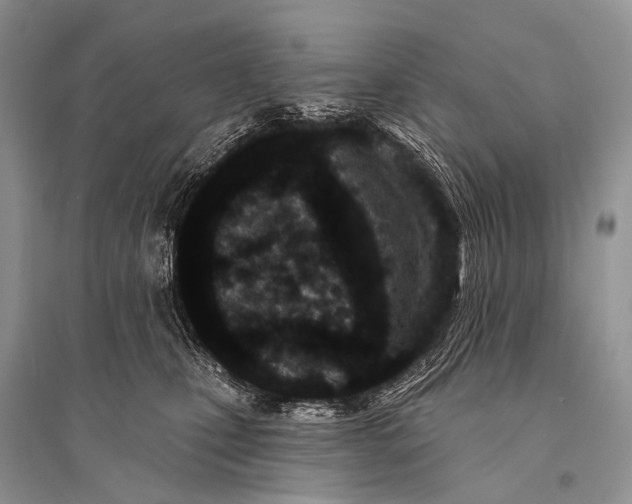 X0000094920471200712201224