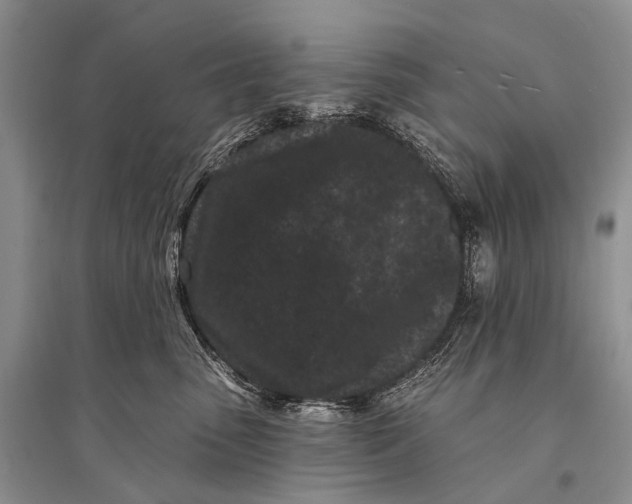 X0000094920475200712201224