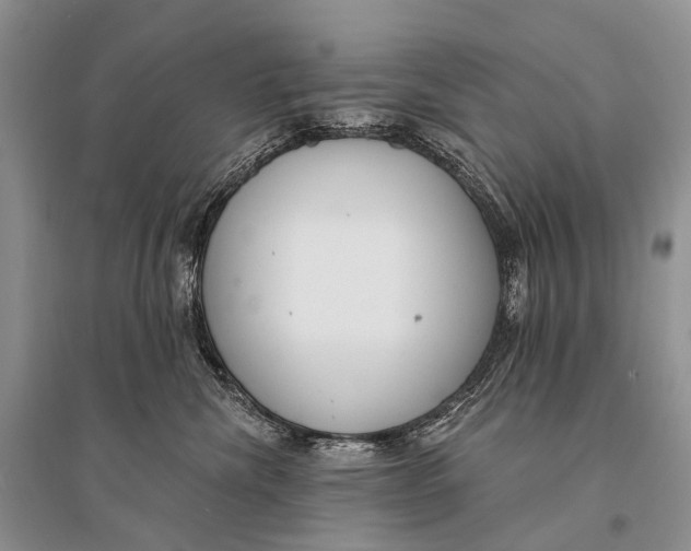 X0000094920476200712201224