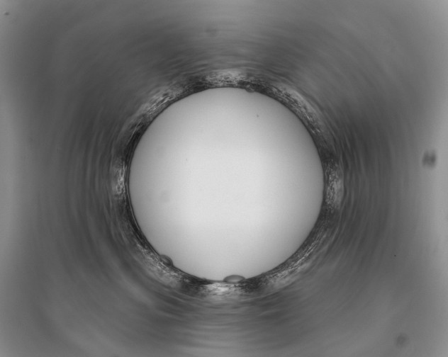 X0000094920477200712201224