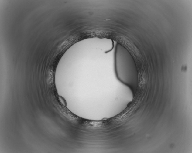 X0000094920478200712201224