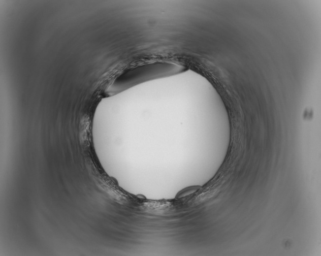 X0000094920480200712201224