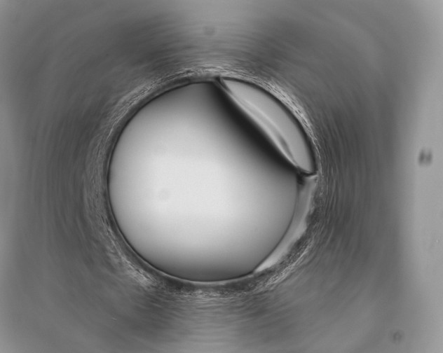 X0000094920481200712201223