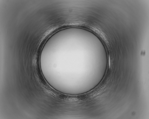 X0000094920483200712201223