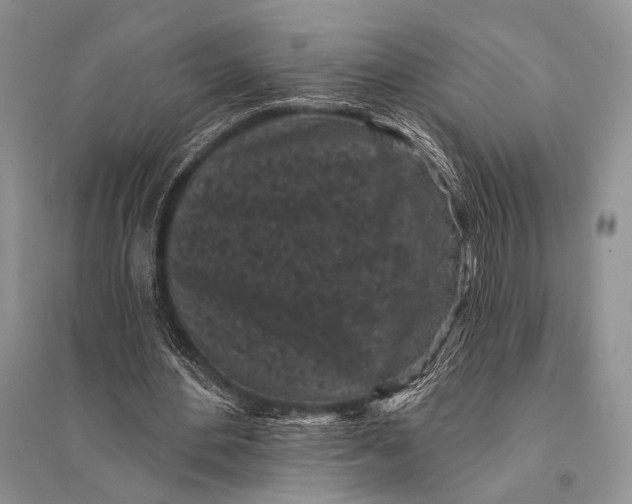 X0000094920484200712201223