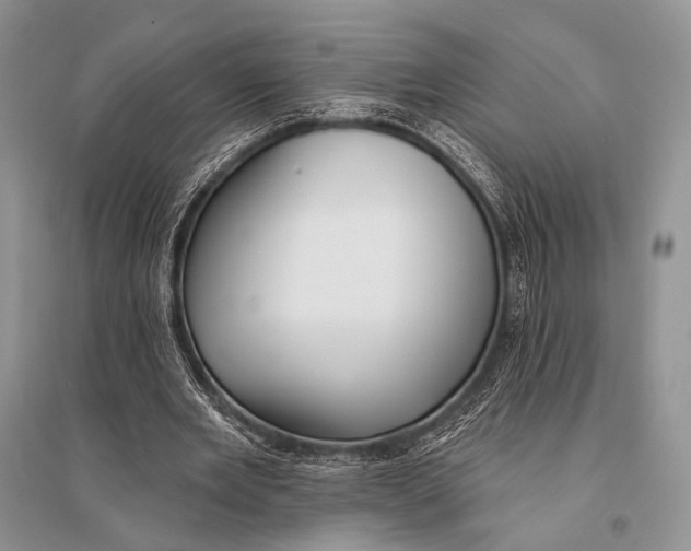 X0000094920485200712201223