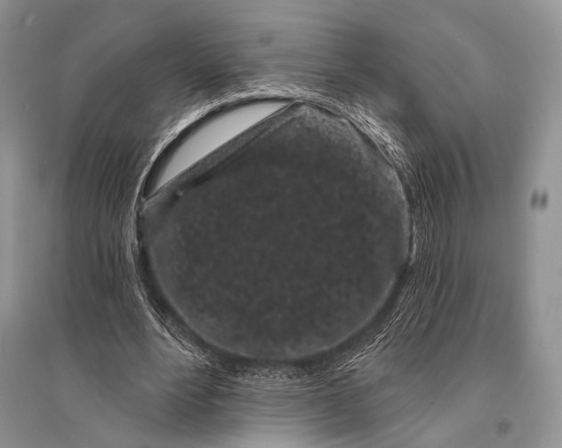 X0000094920488200712201223