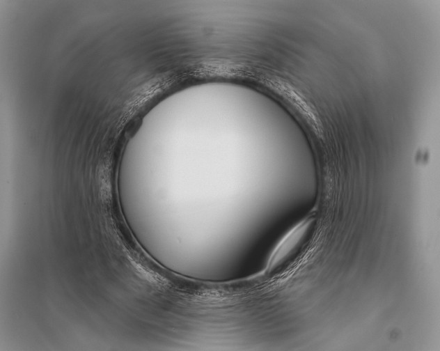 X0000094920489200712201223