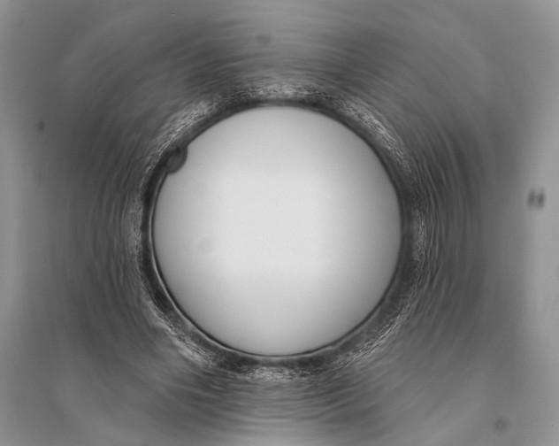 X0000094920490200712201223