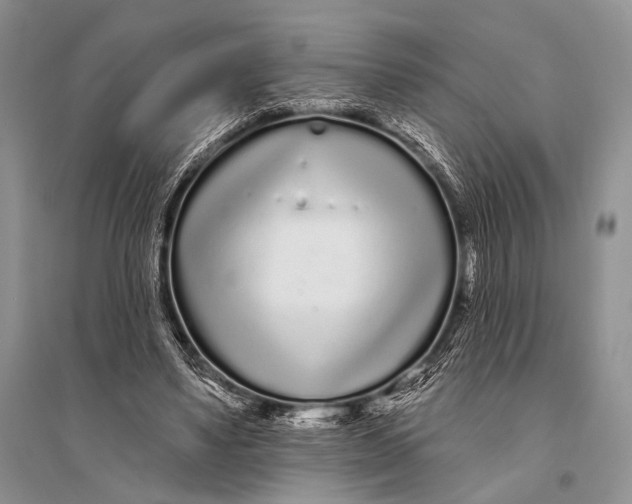 X0000094920491200712201223